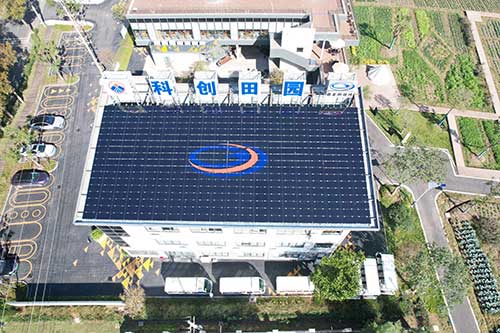 W020250314692709531895