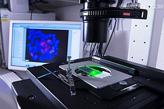 生物医药科研效果