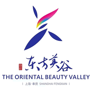 W020170628531487678062