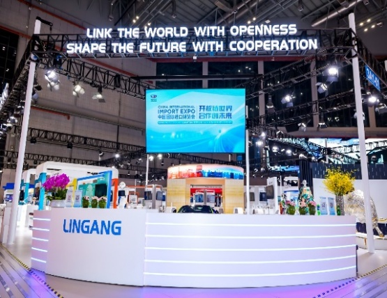 立异参展机制加入第六届、、、第七届中国国际入口博览会