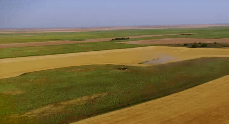 W020180824523801102169