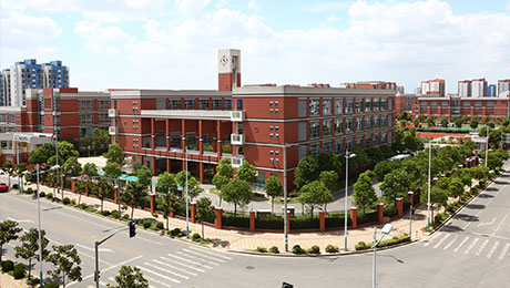 bevictor伟德外国语小学